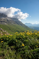 Val di Fassa STE 0480