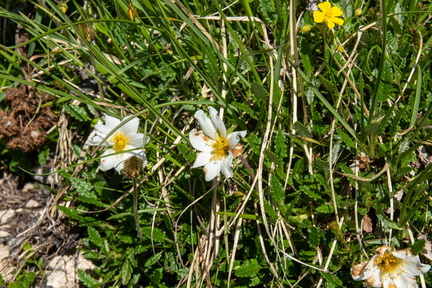 Val di Fassa STE 0482