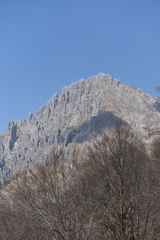 STE 7298