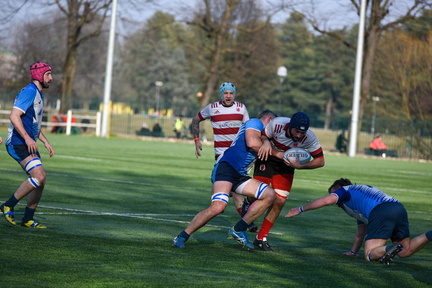 Rugby ASR CUS T0rino STE 7025