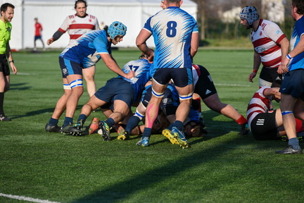 Rugby ASR CUS T0rino STE 7030