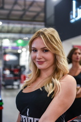 EICMA 112022 STE 6172