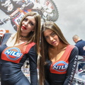 EICMA 112022 STE 6277