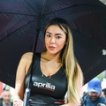 EICMA 112022 STE 6318